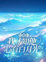 顾宴洲徐舒