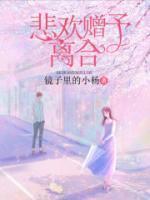 沈宴顾西